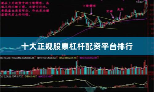 十大正规股票杠杆配资平台排行