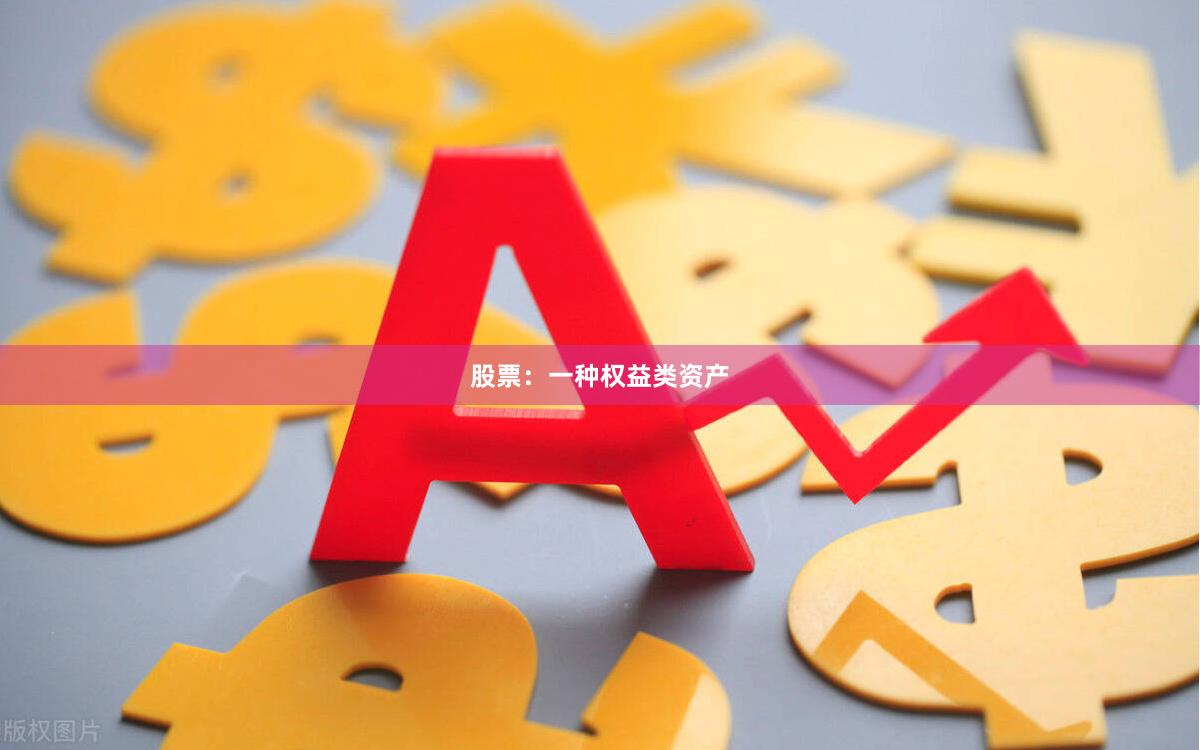 股票：一种权益类资产