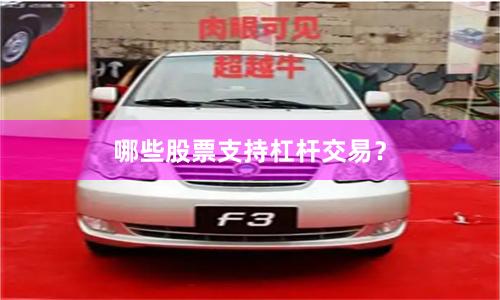 哪些股票支持杠杆交易？