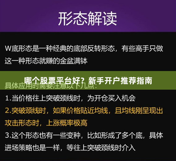 哪个股票平台好？新手开户推荐指南